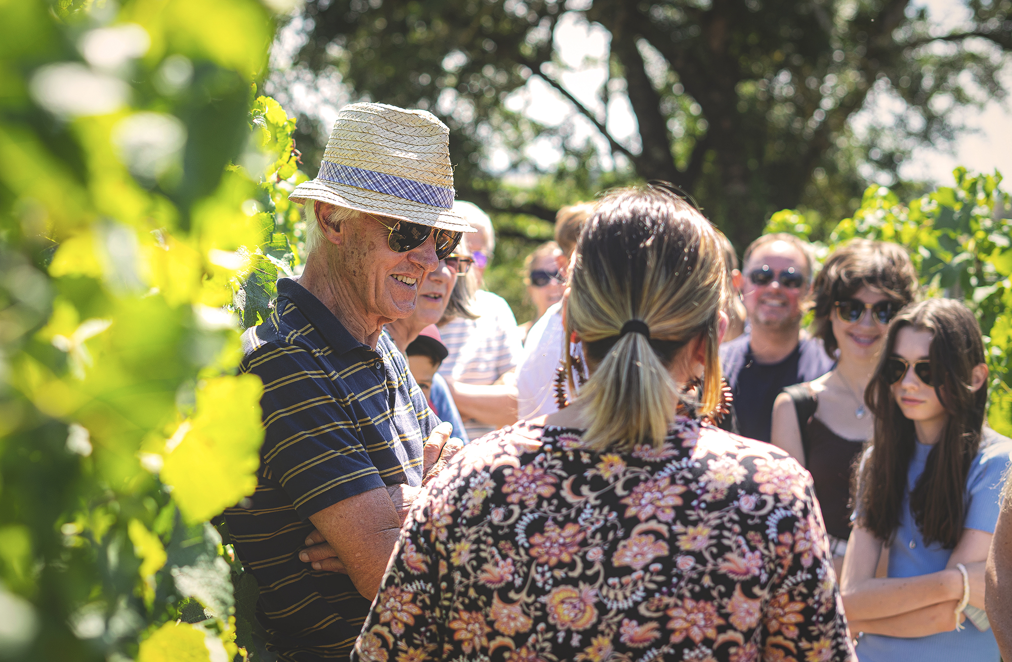 domaine de grange neuve - visite et dégustation