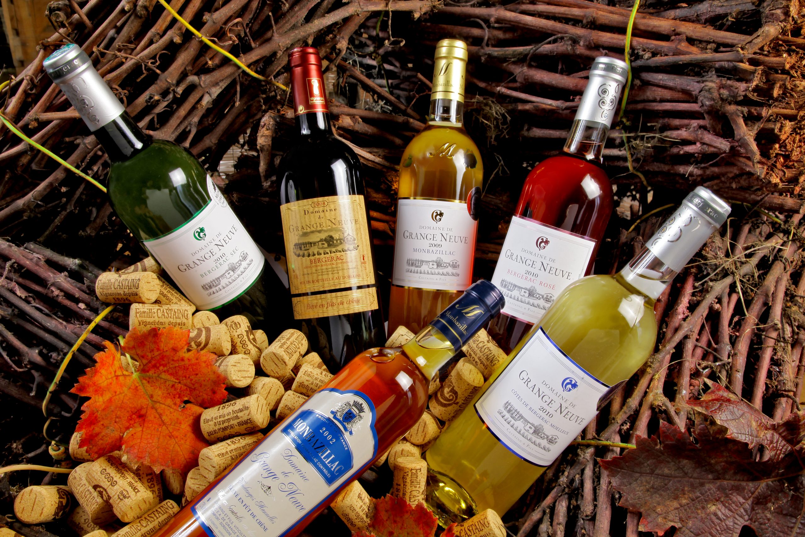 domaine de grange neuve - visite et dégustation